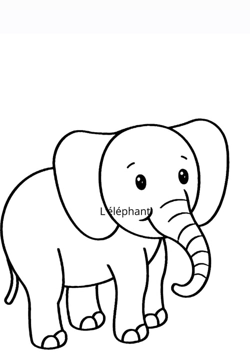 J'apprends les animaux en coloriant